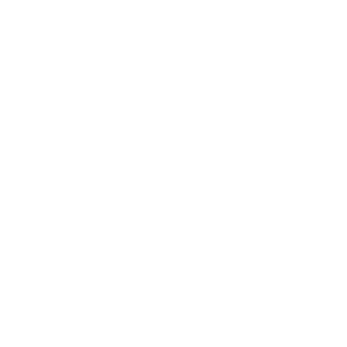 logo white